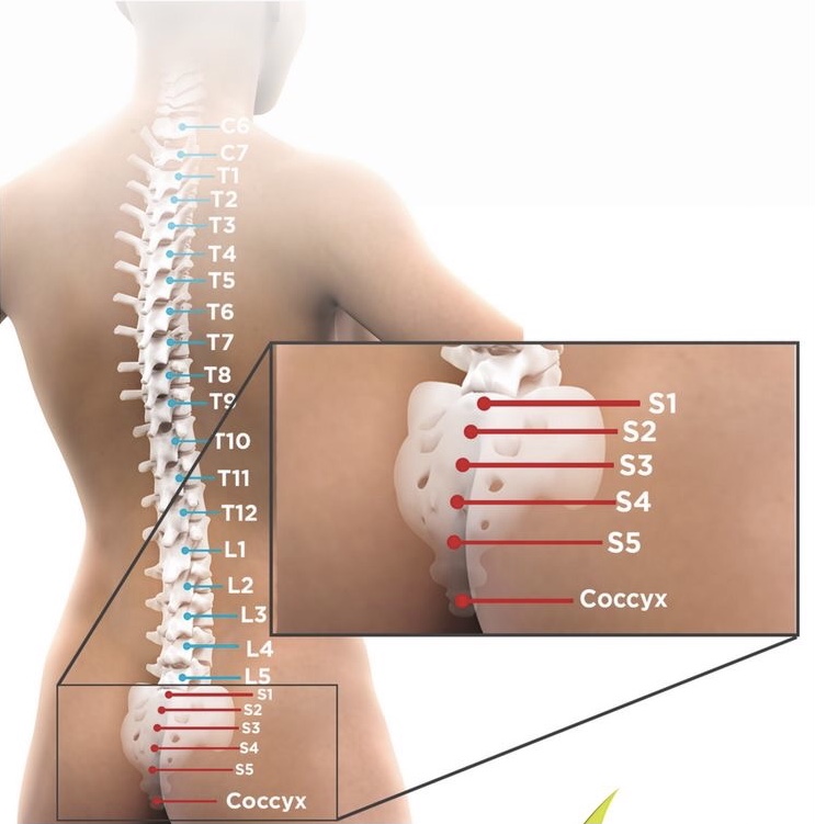 BEL FITIĞININ NEDENLERİ