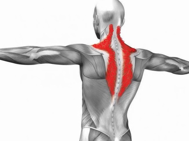 üst sırt ağrısı nedenleri ve Osteoartrit