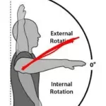 DONUK OMUZ TEDAVİSİNDE EN ÖNEMLİ EVRE KISTLI EKLEM HAREKETİDİR Kapsüler Patern. Donuk omuzun en kısıtlı hareketi olan pasif dış rotasyonun limitlenmesi.