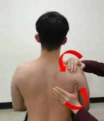 DONUK OMUZ TEDAVİSİNDE Posterior-İnferior Glide Mobilizasyonu. Donuk omuzda en çok önerilen (CPG A Seviye) kapsül gevşetme tekniğ