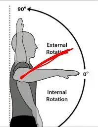 DONUK OMUZ TEDAVİSİNDE EN ÖNEMLİ EVRE KISTLI EKLEM HAREKETİDİR Kapsüler Patern. Donuk omuzun en kısıtlı hareketi olan pasif dış rotasyonun limitlenmesi.