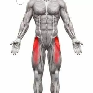 Uyluk Ağrısı Ve Diz Ağrısı