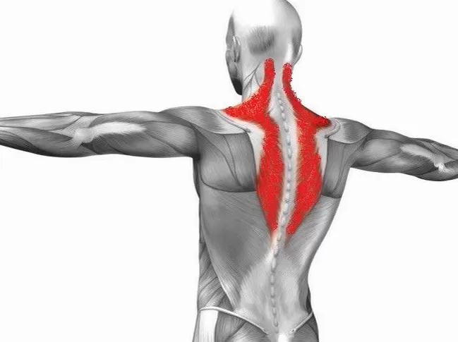 Üst Sırt Ağrısı Nedenleri