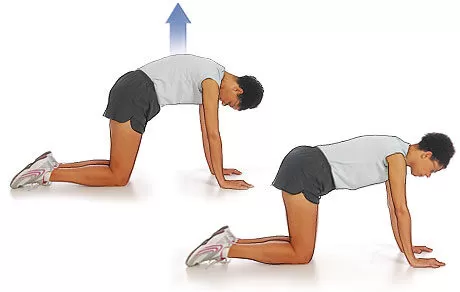 Bel Fıtığı İçin Egzersiz